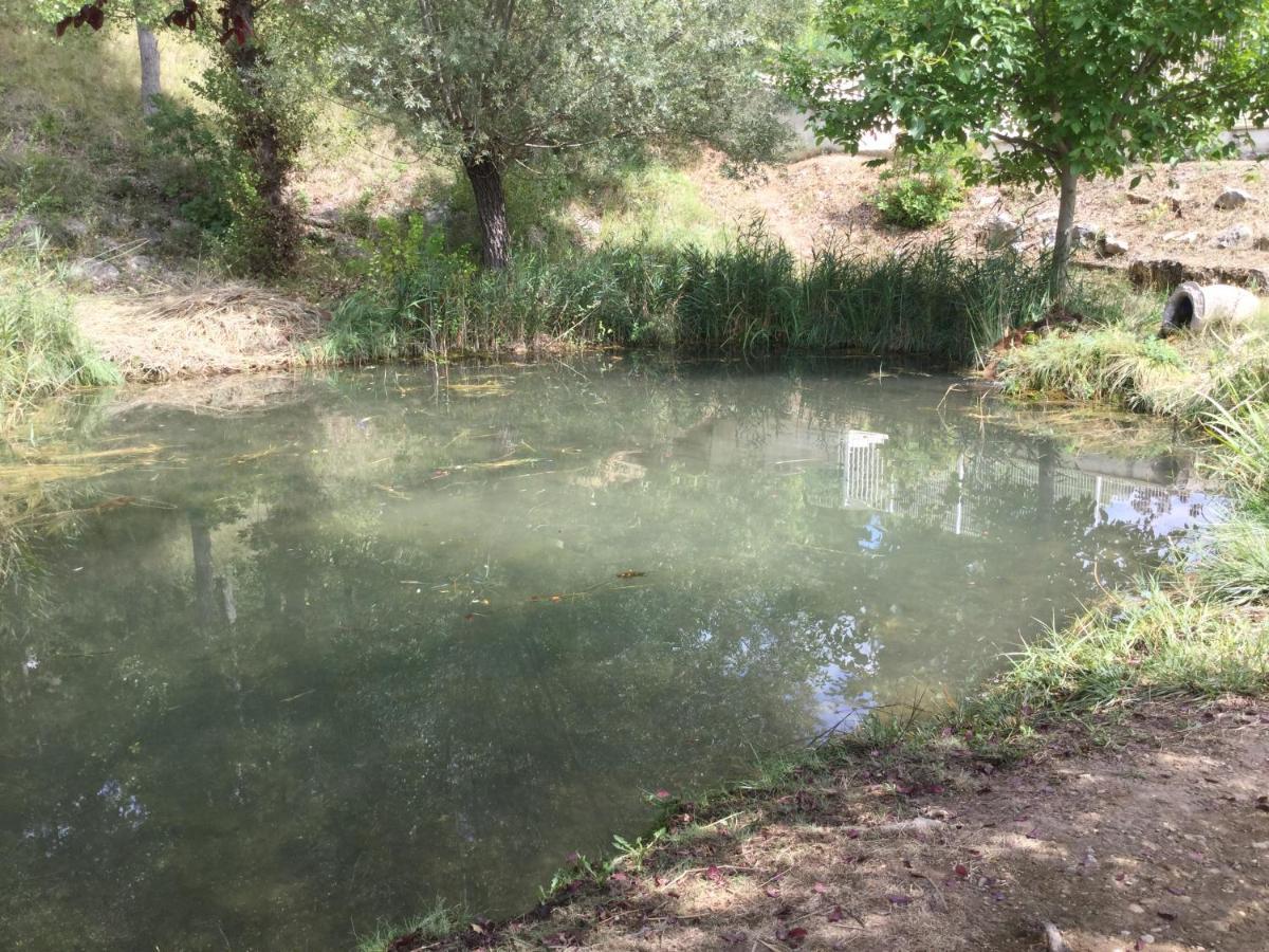 Mazet Lavande Saint-Martin-de-Brômes Dış mekan fotoğraf