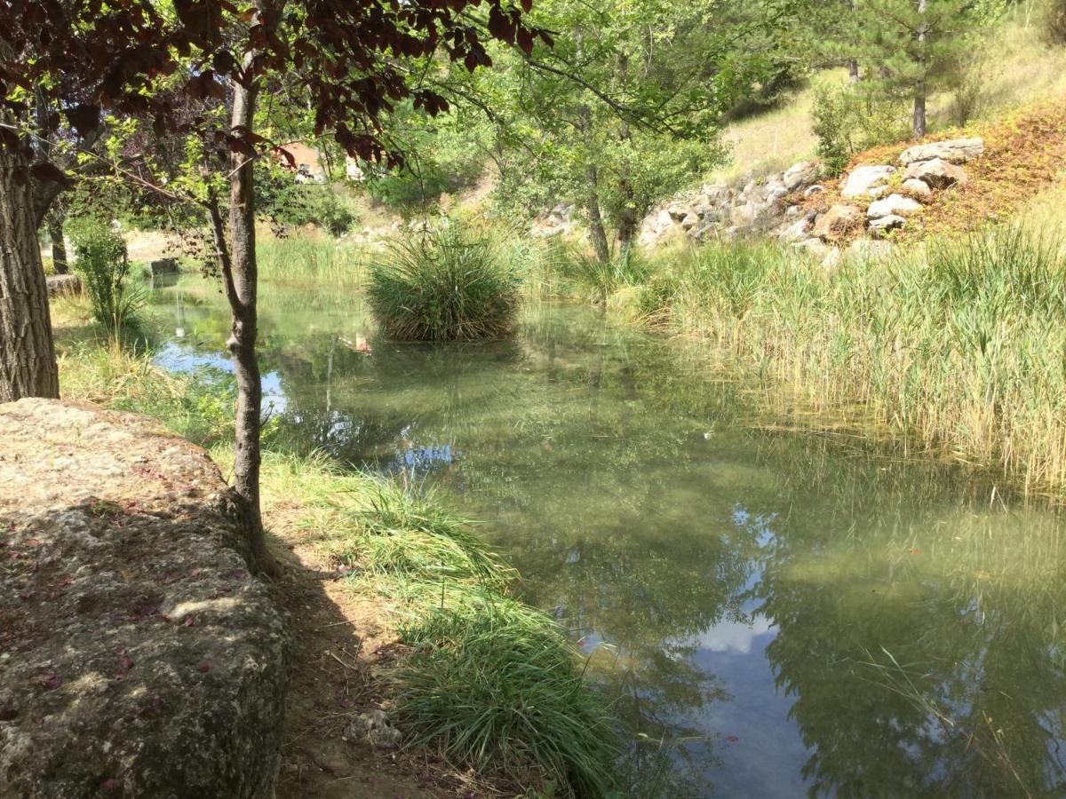 Mazet Lavande Saint-Martin-de-Brômes Dış mekan fotoğraf